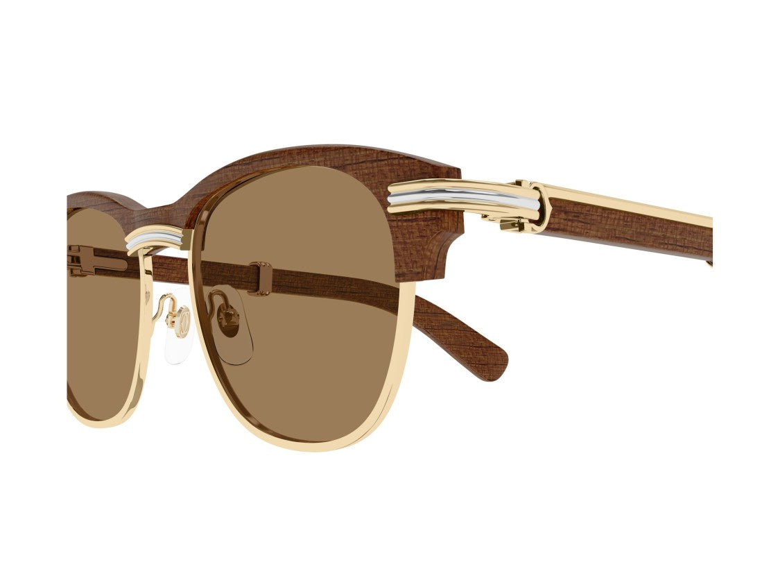 Cartier Ct0656s Rounded Wooden Sunglasses