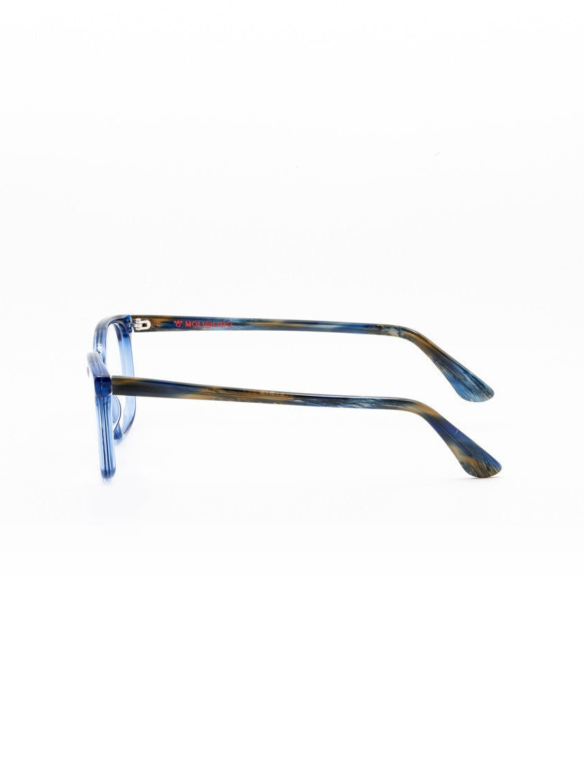 Moli@Limo Multicolor Acetate Optical Frames With Rectangular Shape