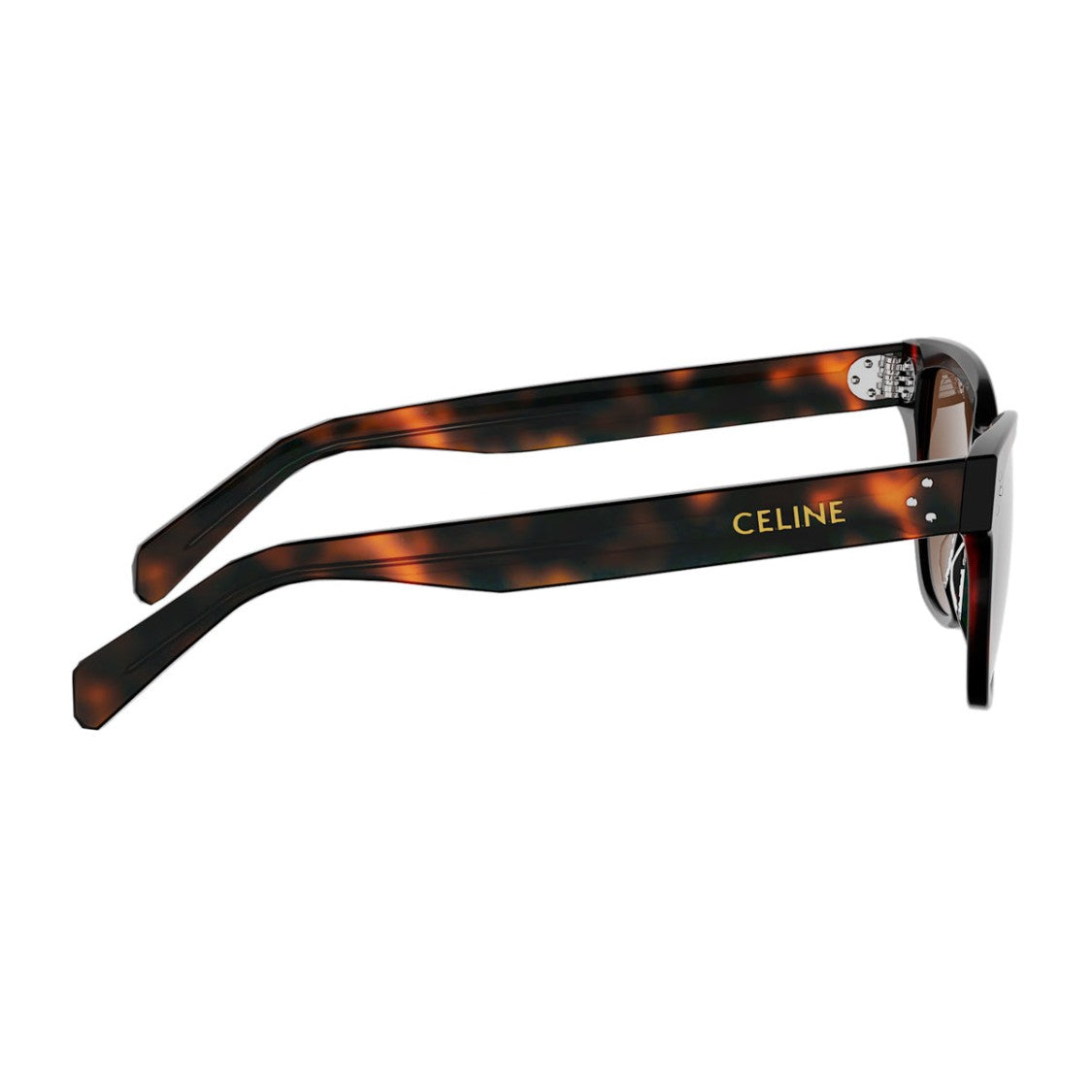 Celine Havana 3 Dots Recycled Acetate Rectangular Sunglasses