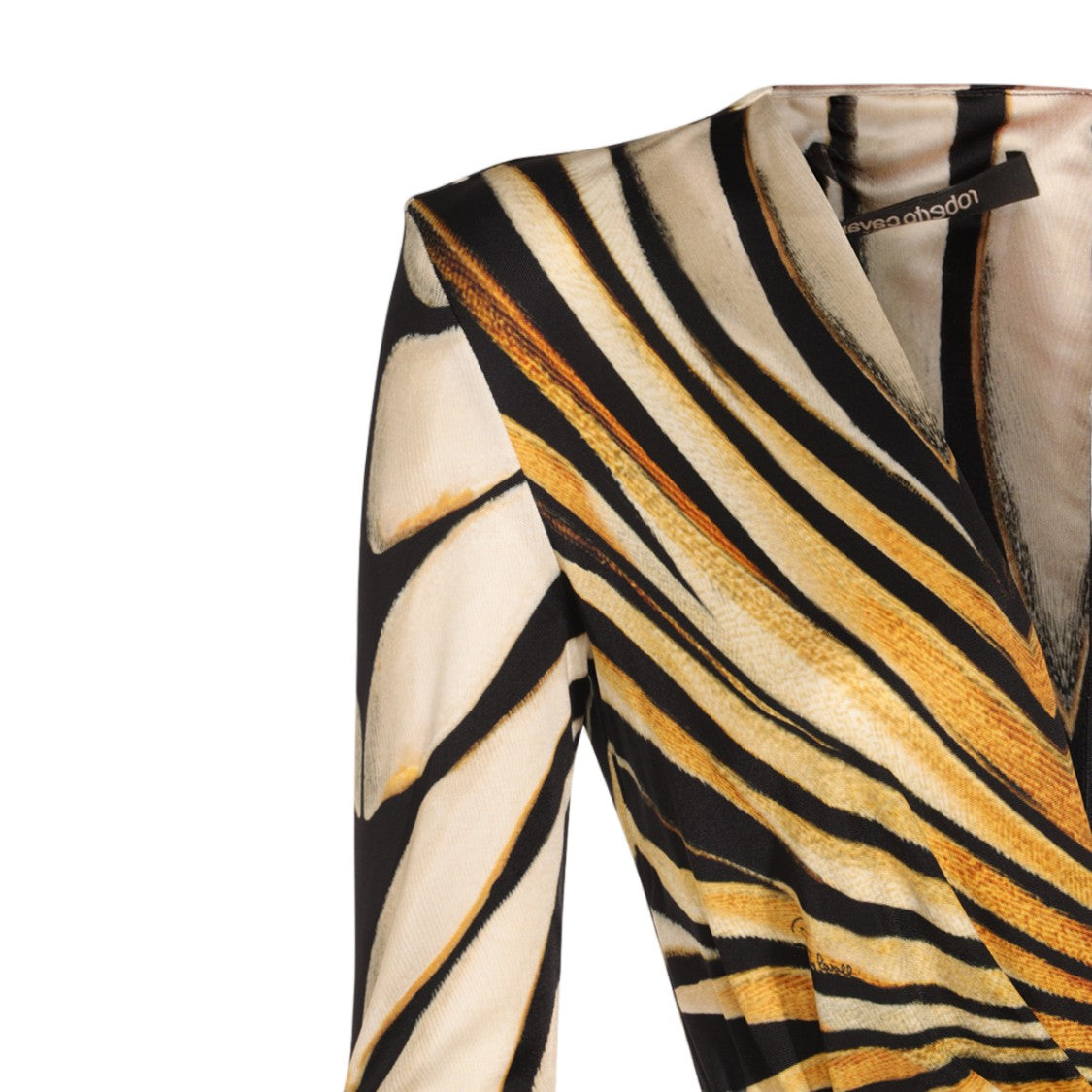 Roberto Cavalli Maxi Dress With Bold Geometric Stripes