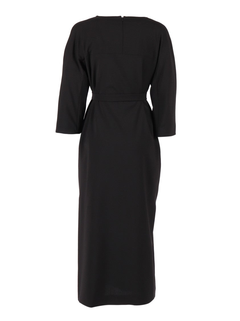 Max Mara Lazial Dress