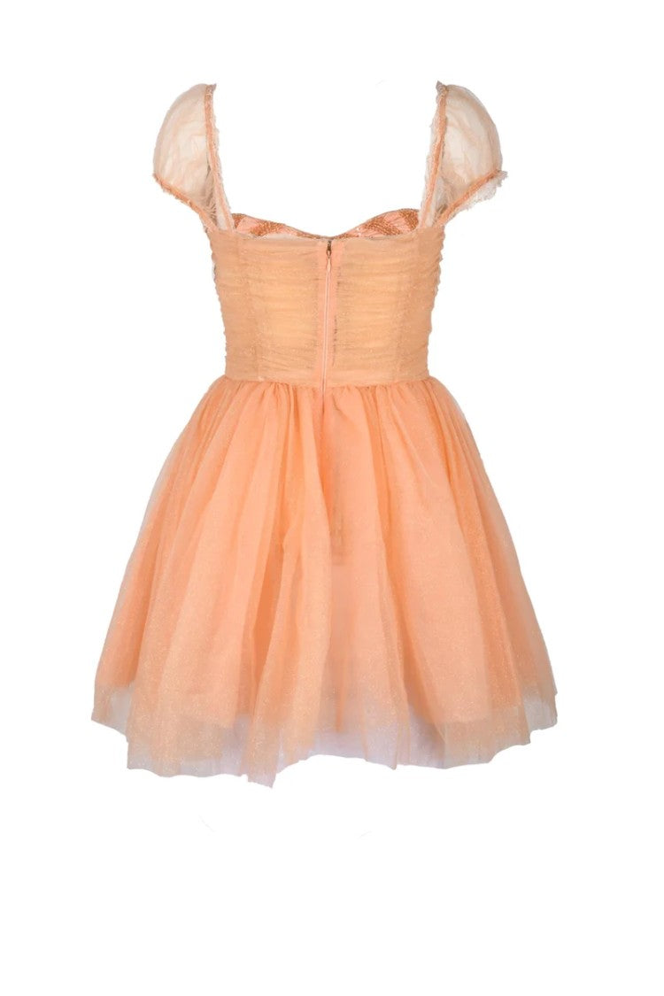 Elisabetta Franchi Tulle Dress Balloon Sleeves - Pink