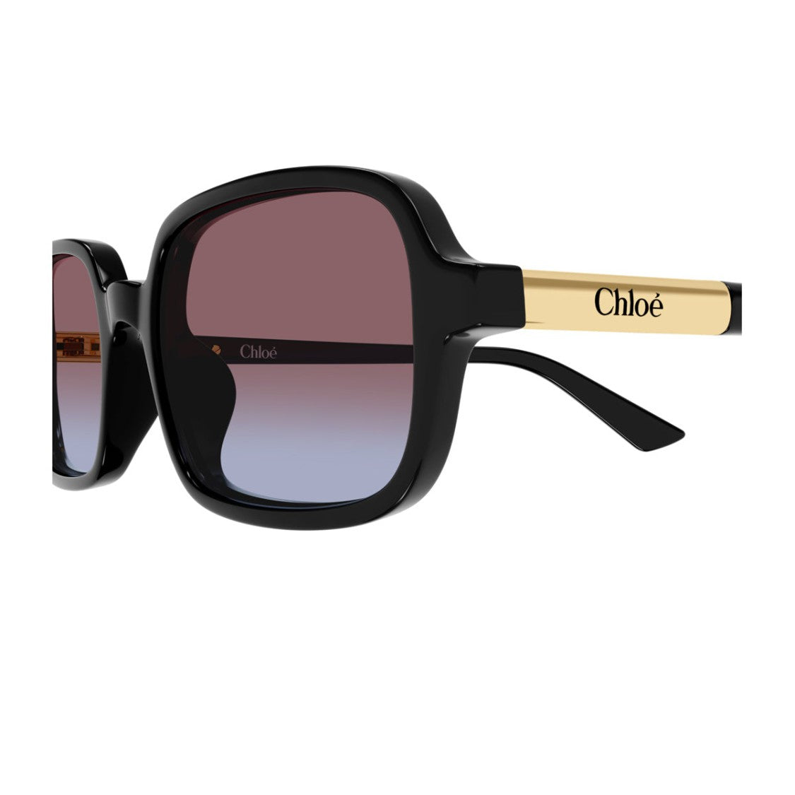 Chloé Black Ch0363s Rectangular Acetate Sunglasses