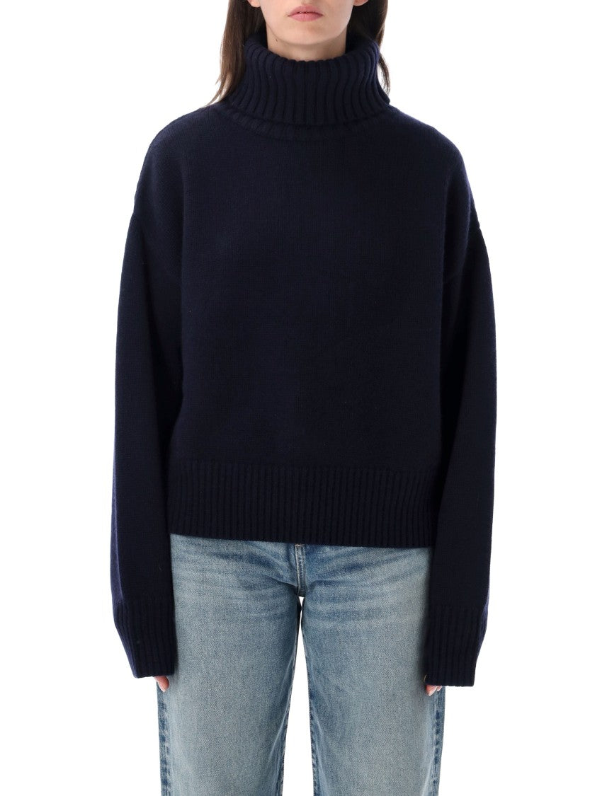 Extreme Cashmere Crop Xtra High Neck Cropped Ribbed Turtleneck Sweater