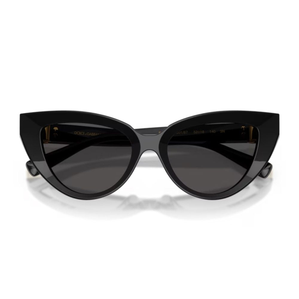 Dolce & Gabbana Dg4497 Dg Hinge Cat-Eye Sunglasses