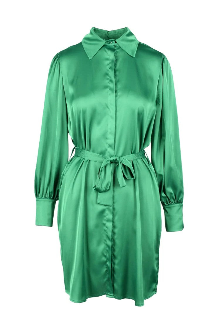 Think Green Polyester Dress