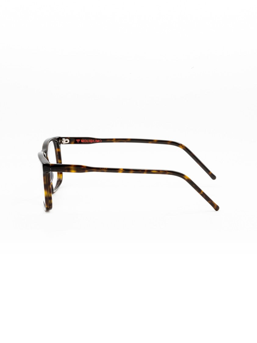 Moli@Limo Brown Md196 Rectangular International Frames