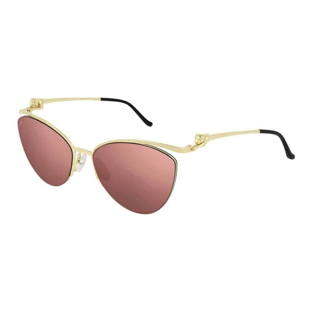 Cartier Ct0268s Cat-Eye Sunglasses