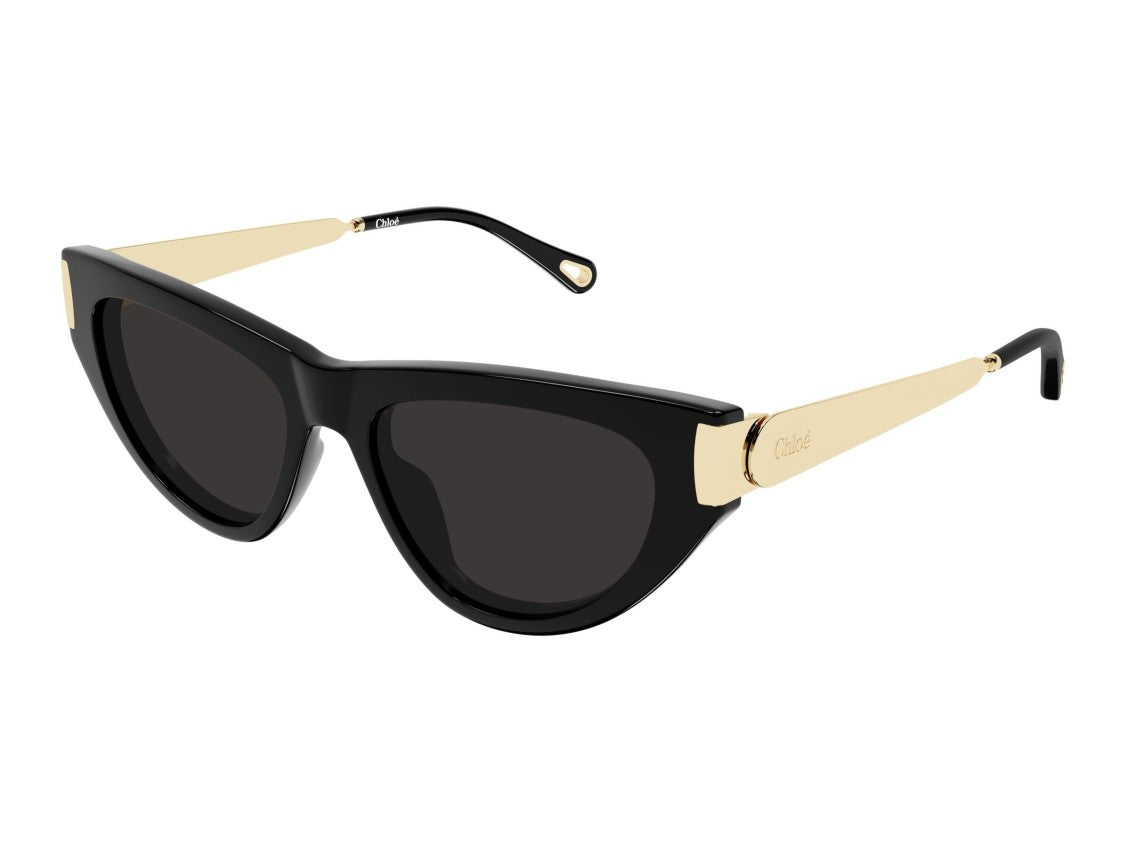 Chloé Black Ch0350s Cat-Eye Sunglasses