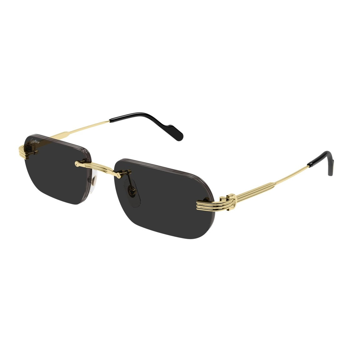 Cartier Ct0577s Rimless Rectangular Sunglasses