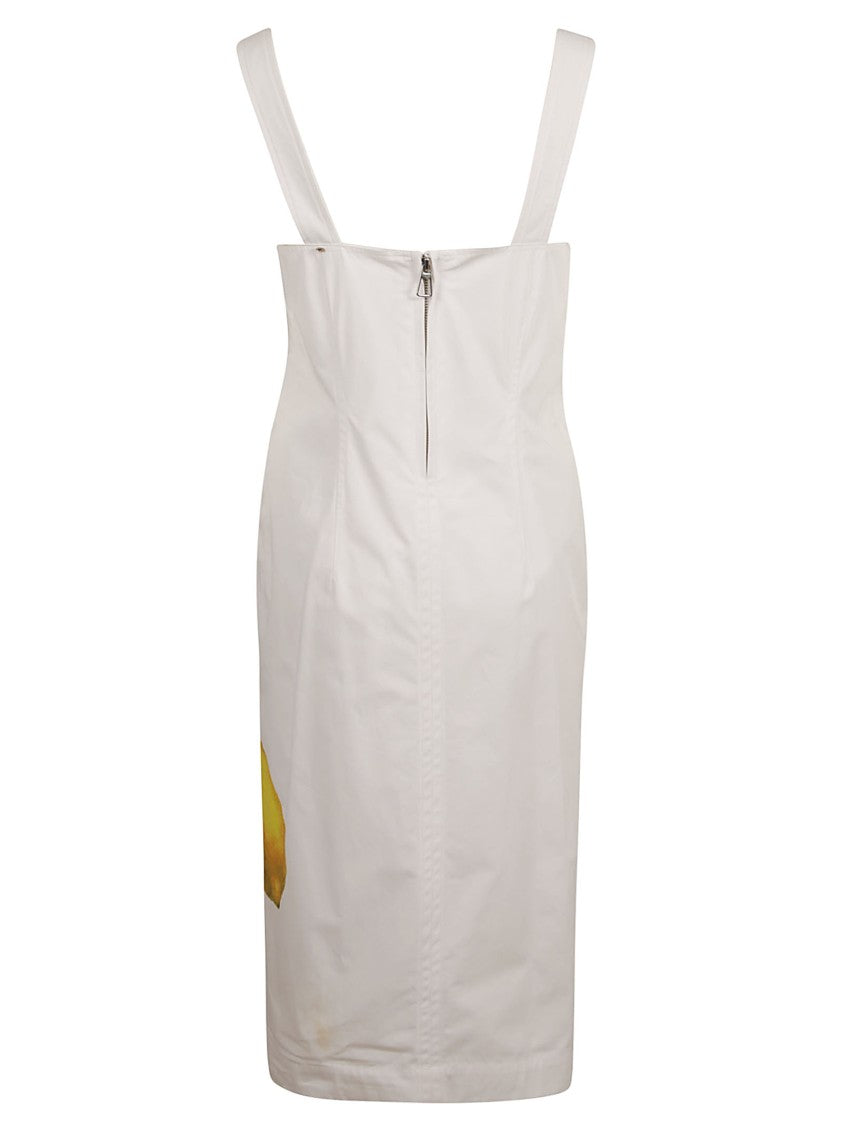 Max Mara Lemon Print Dress With Fitted Silhouette