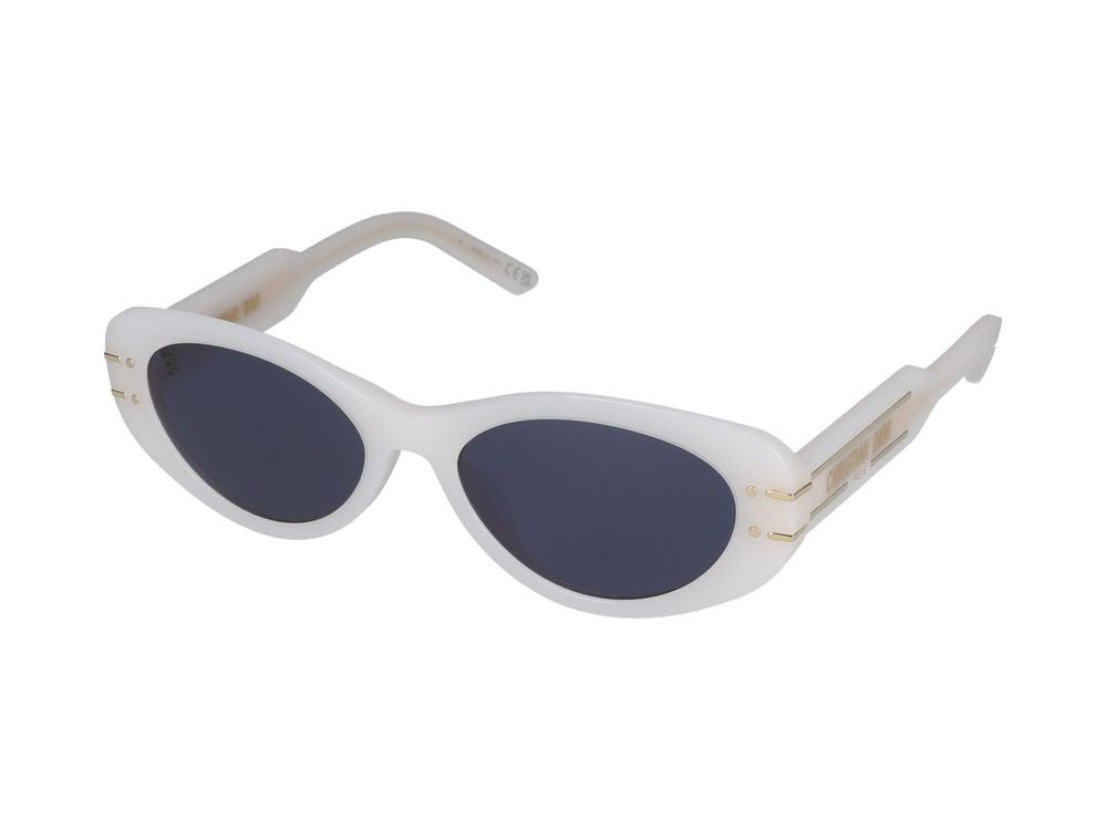 Dior Sunglasses Diorsignature B8u 95B0 53/17/135