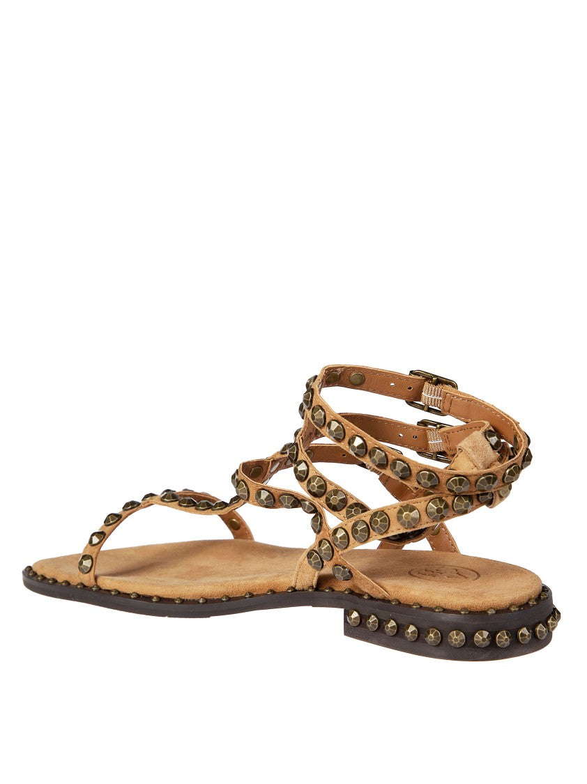 Ash Brown D Cachemere Brass Studded Sandals