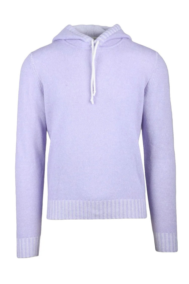 Darwin Wisteria Virgin Wool Men's Hooded Sweater