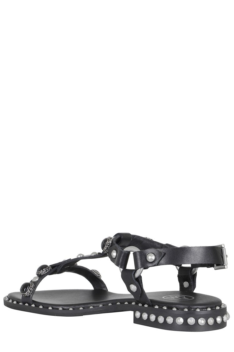 Ash Black Podium Applied Studs Buckle Leather Flat Sandals