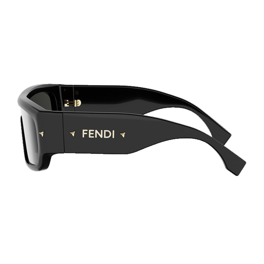Fendi Black Screen Bold Acetate Sunglasses