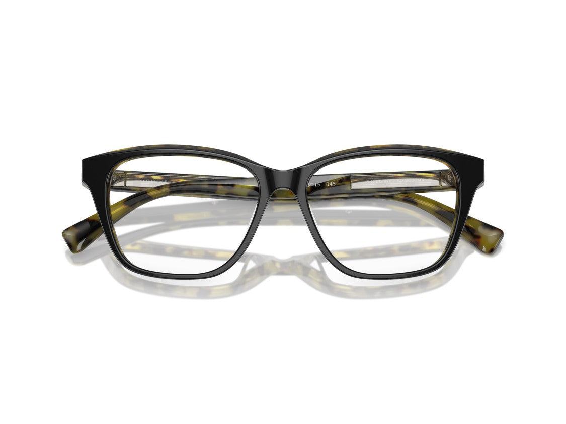 Brunello Cucinelli 0Bc3004 Acetate Oversized Square Sunglasses