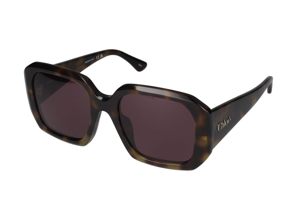 Chloé Sunglasses Ch0300s 002 Havana Havana Violet 54/20/140