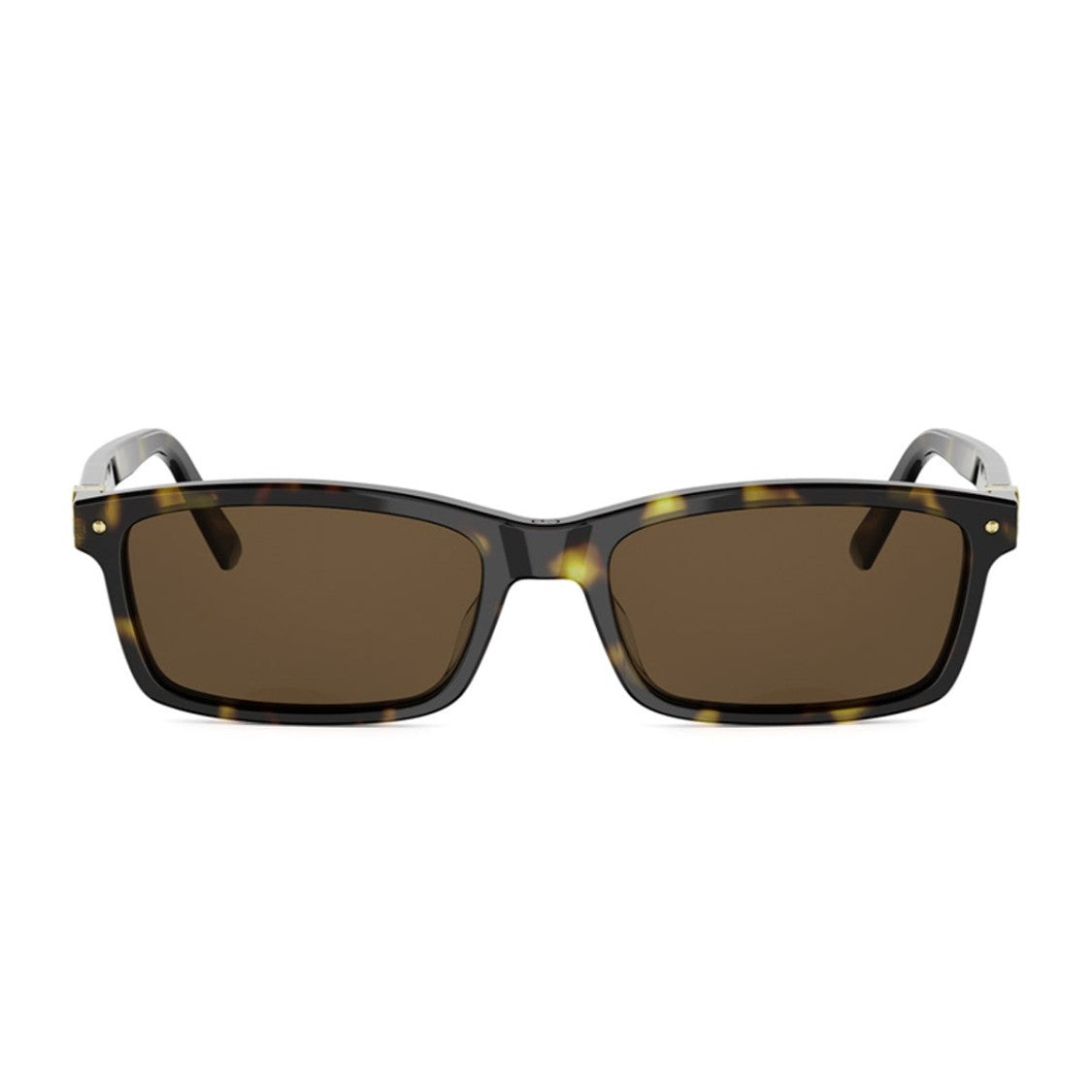 Dior Havana Petit Cd S1i Rectangular Sunglasses