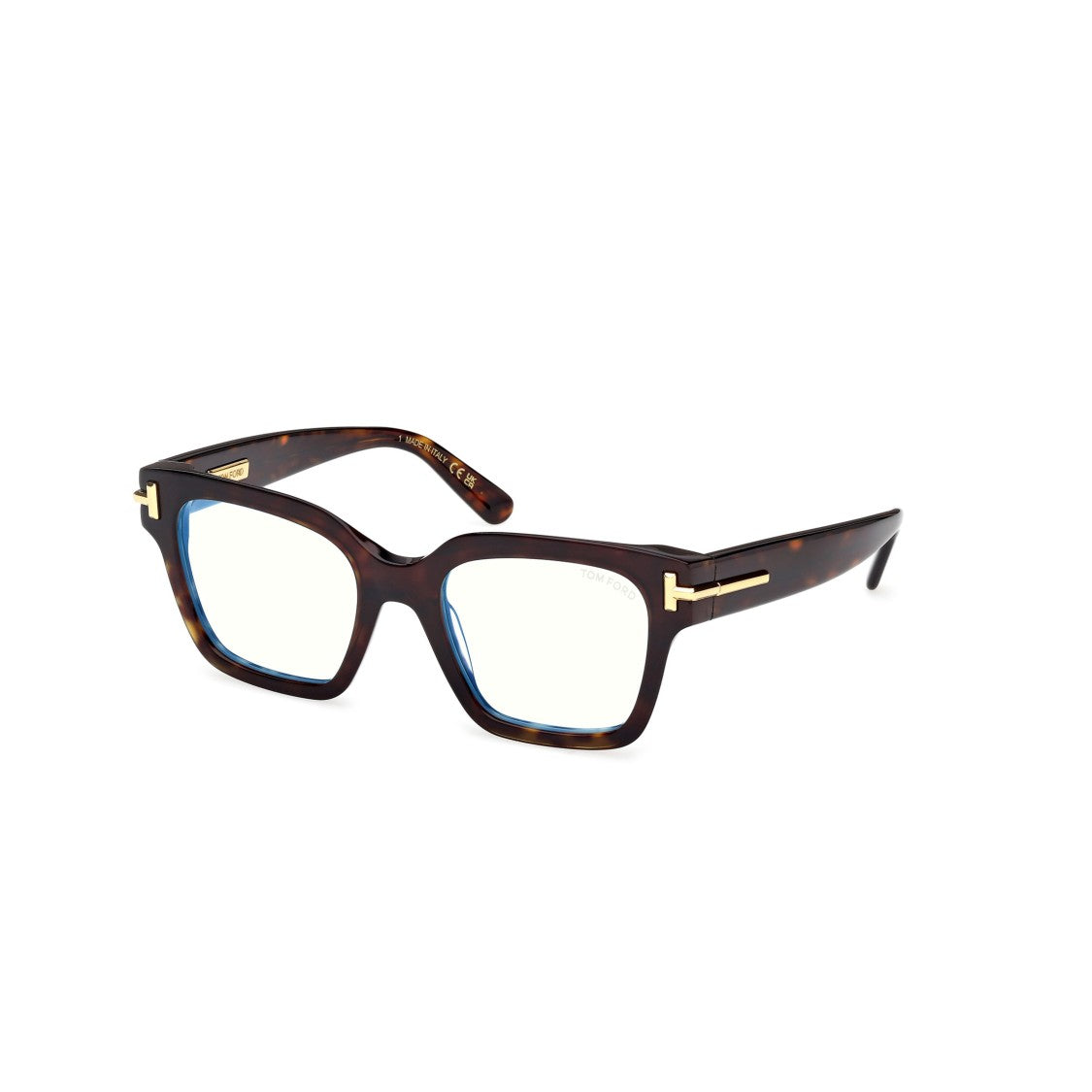 Tom Ford Ft6078-B Oversized Square Acetate Sunglasses