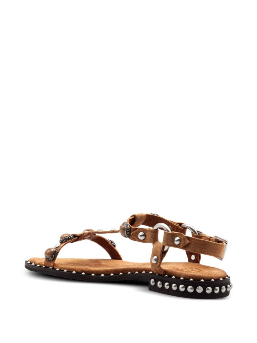 Ash T-Strap Sandals With Brown Stud Embellishments
