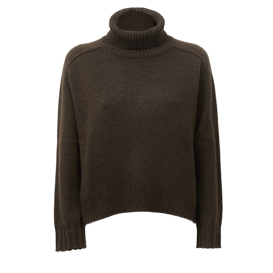 Be You Oversized Turtleneck Sweater