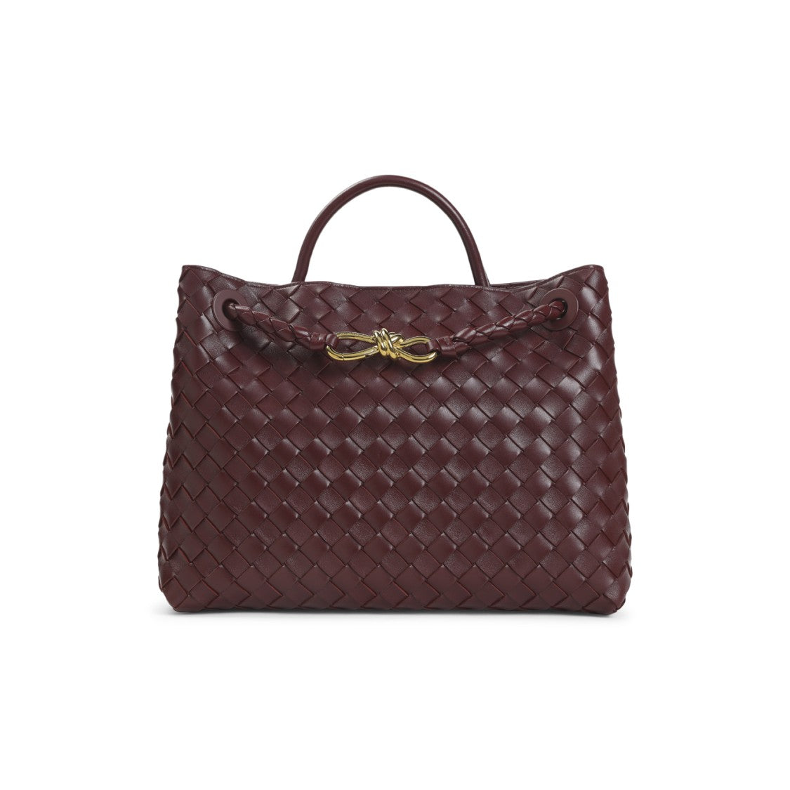 Bottega Veneta Barolo Andiamo Medium Bag