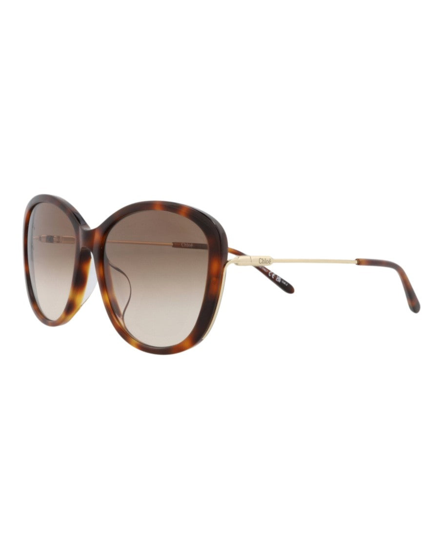 Chloé Tortoiseshell Round-Frame Sunglasses With Gradient Lenses