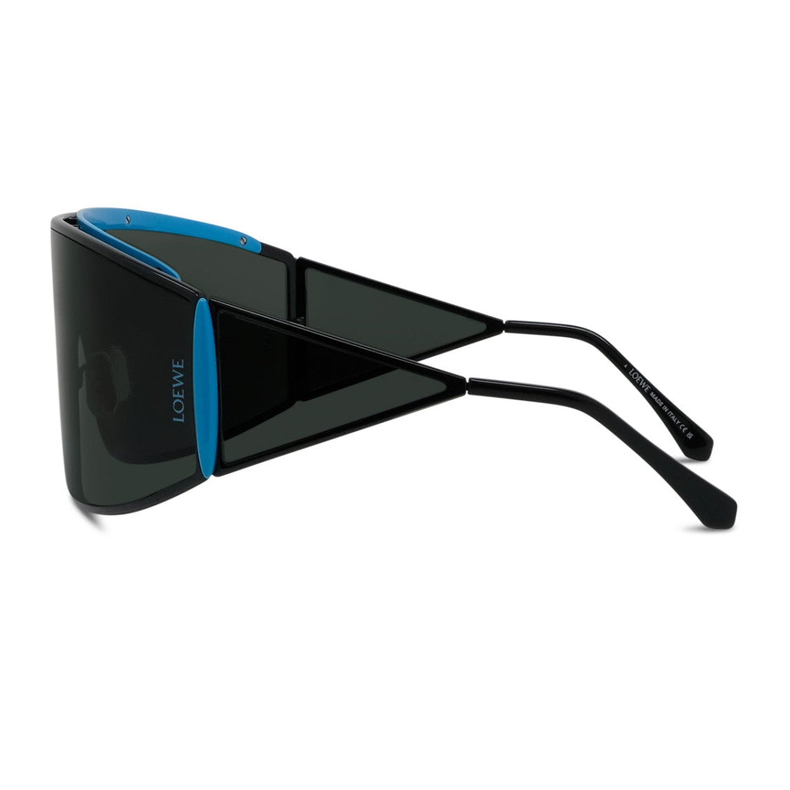 Loewe Bold Acetate Sunglasses With Iconic Loewe Detailing