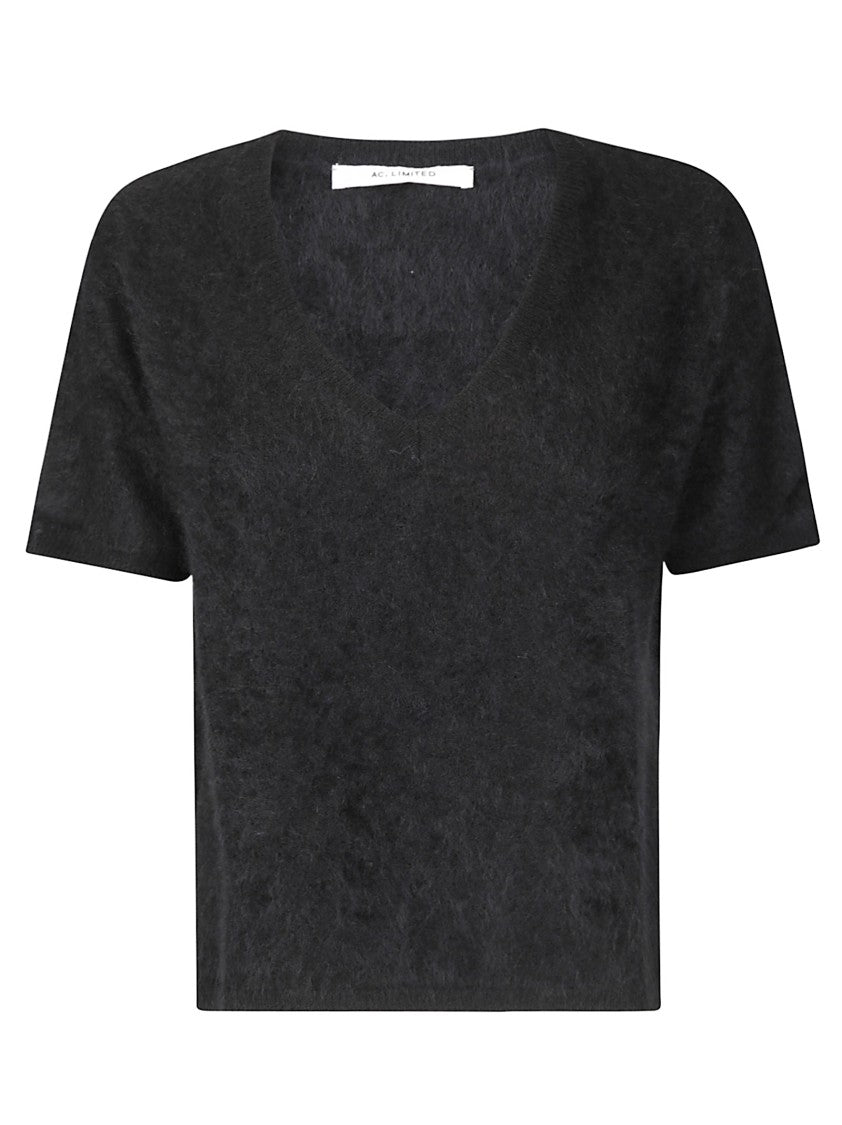 Absolut Cashmere Short-Sleeved Cashmere Knit Top With V-Neckline