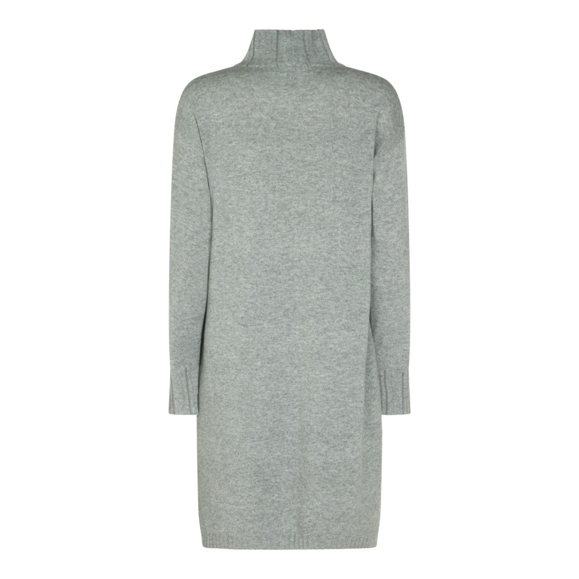 Fabiana Filippi Mini Dress With Ribbed Turtleneck And Long Sleeves