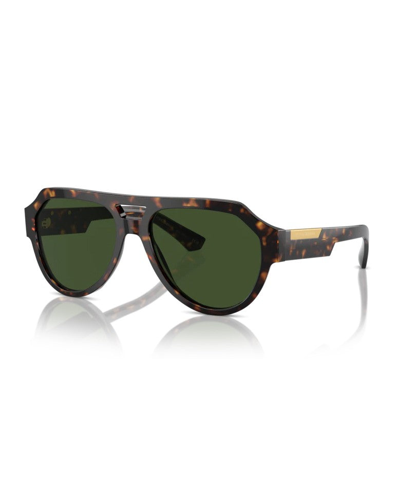 Dolce & Gabbana Shiny Havana Frame Sunglasses