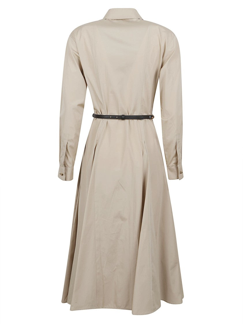 Max Mara Midi Cotton Dress With Pointed Collar And Fitted Waist