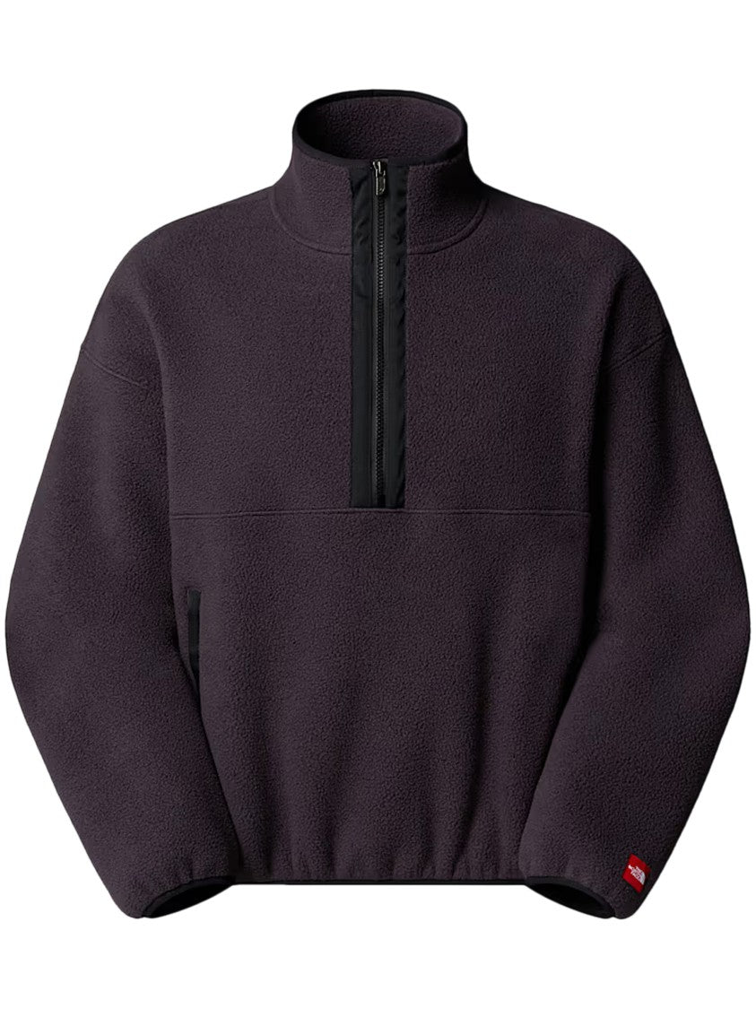 The North Face Relaxed Fit Half-Zip Fleece Jacket