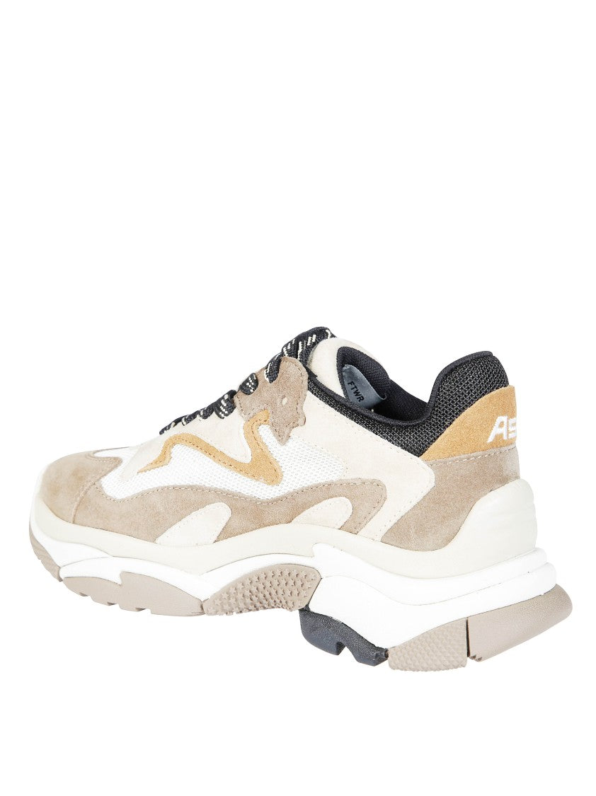 Ash Chunky Suede Mesh Sneakers