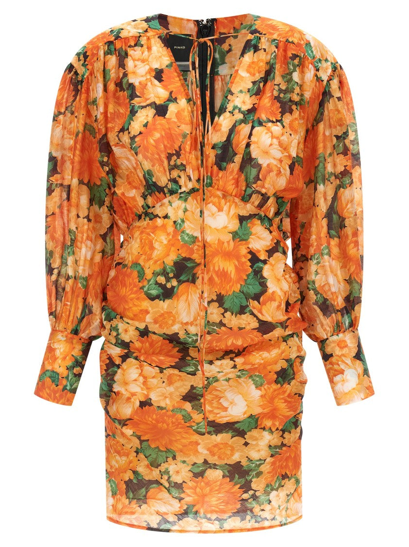 Pinko 'Apericena' Dress