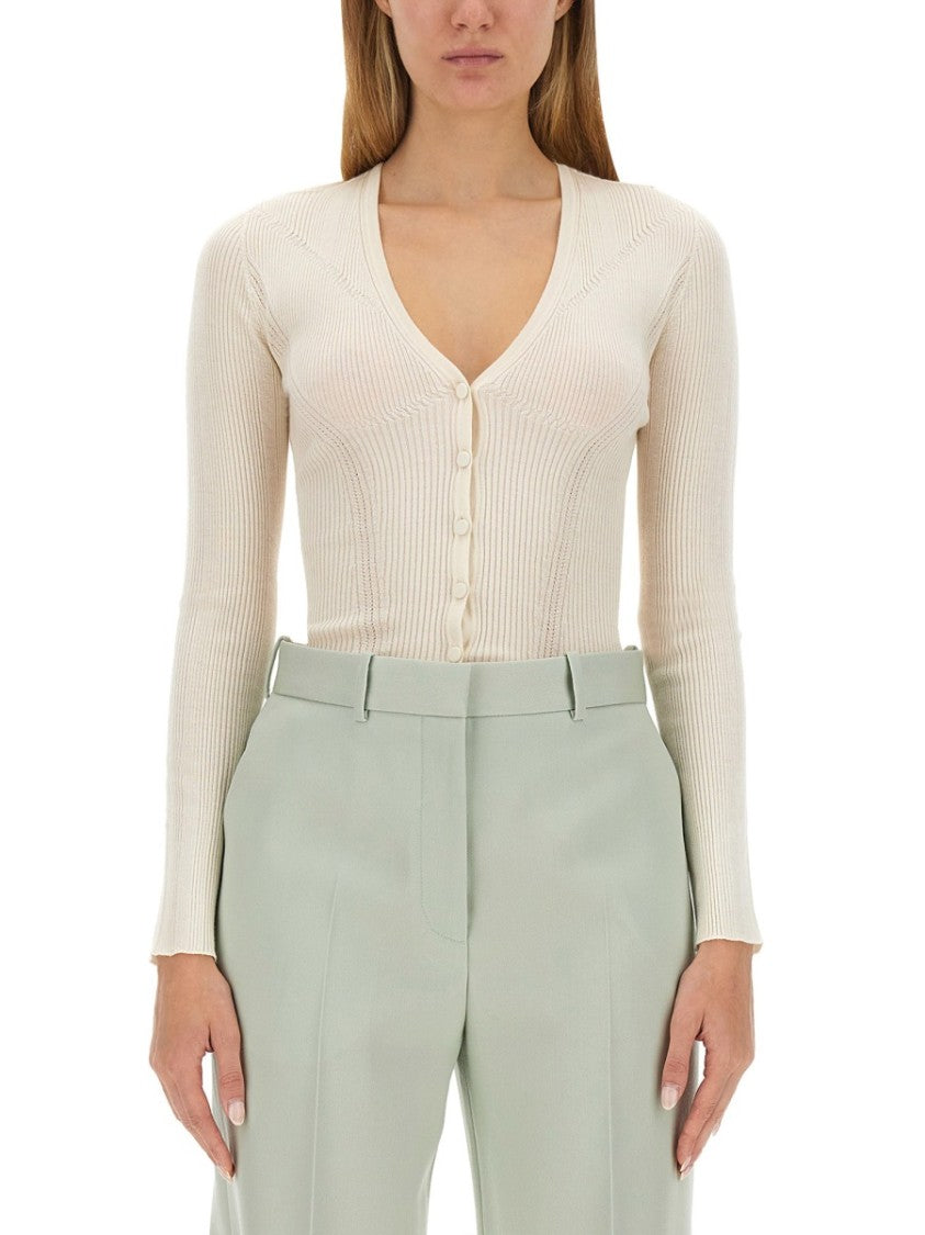 Lanvin Fitted V-Neck Cardigan In Blend
