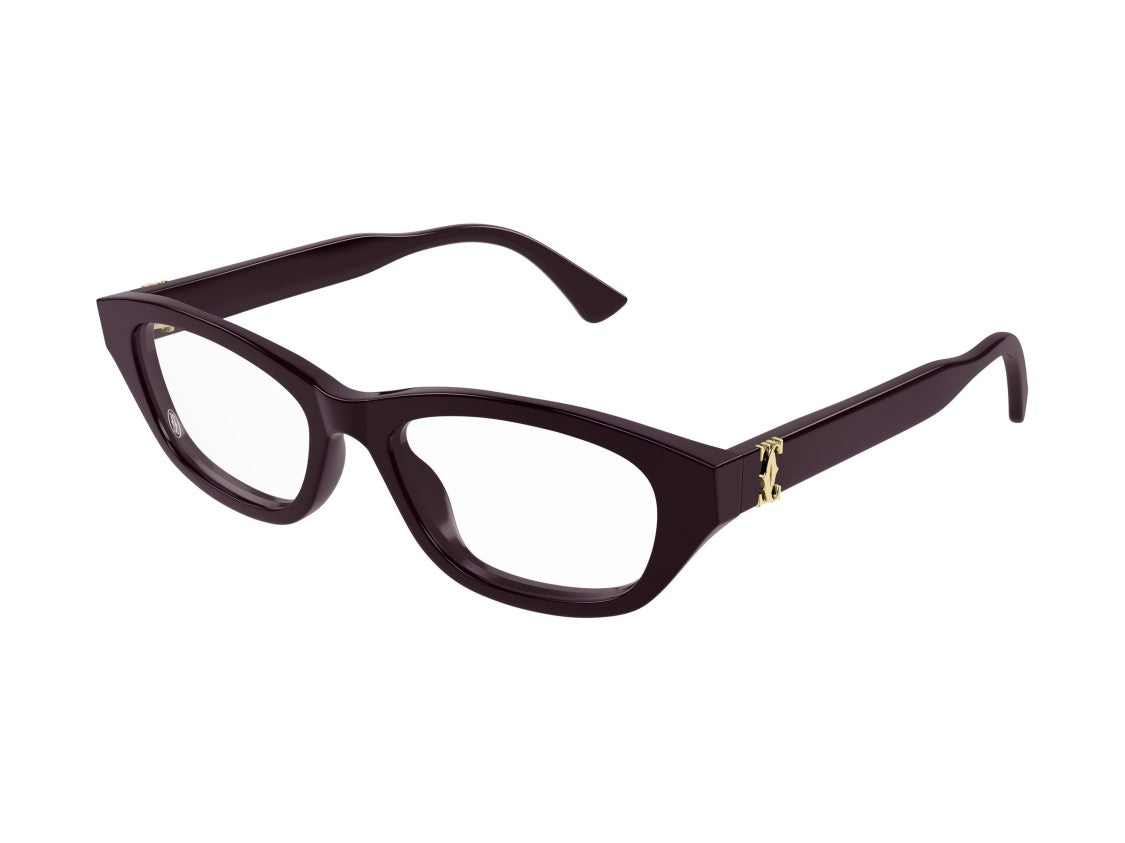 Cartier Ct0668o Oversized Square Acetate Sunglasses