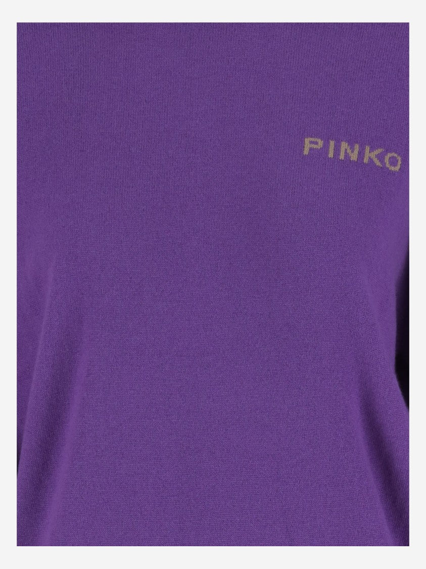 Pinko Wool And Cashmere Logo Sweater