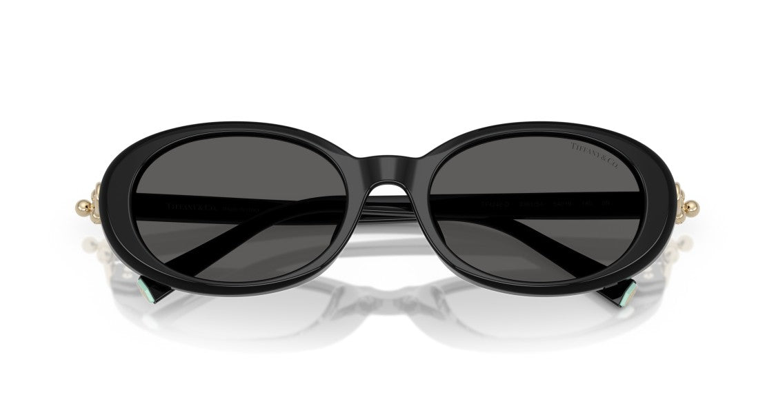 Tiffany & Co. 0Tf4242d Large Round Black Acetate Sunglasses