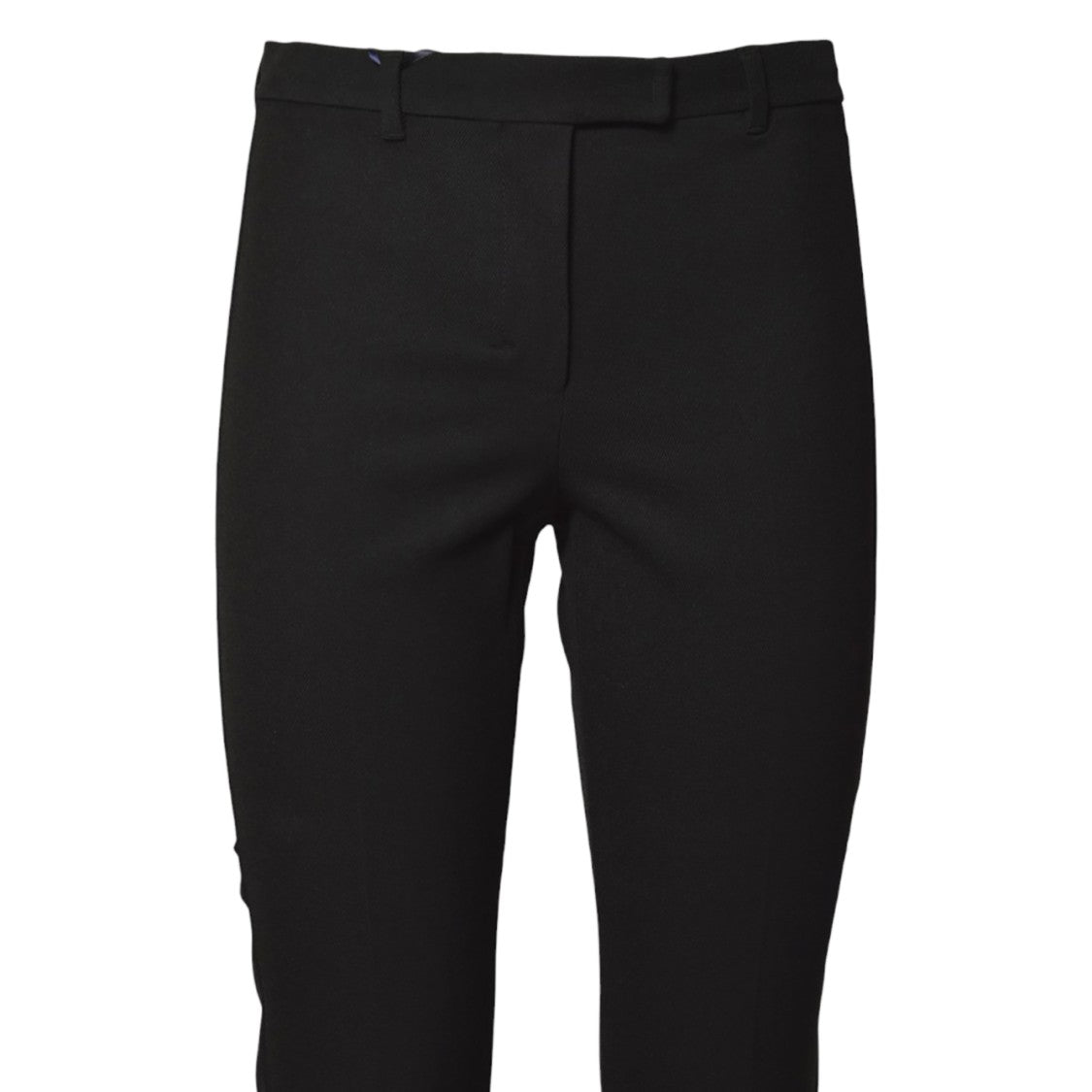 Max Mara Umanita Tailored Pants