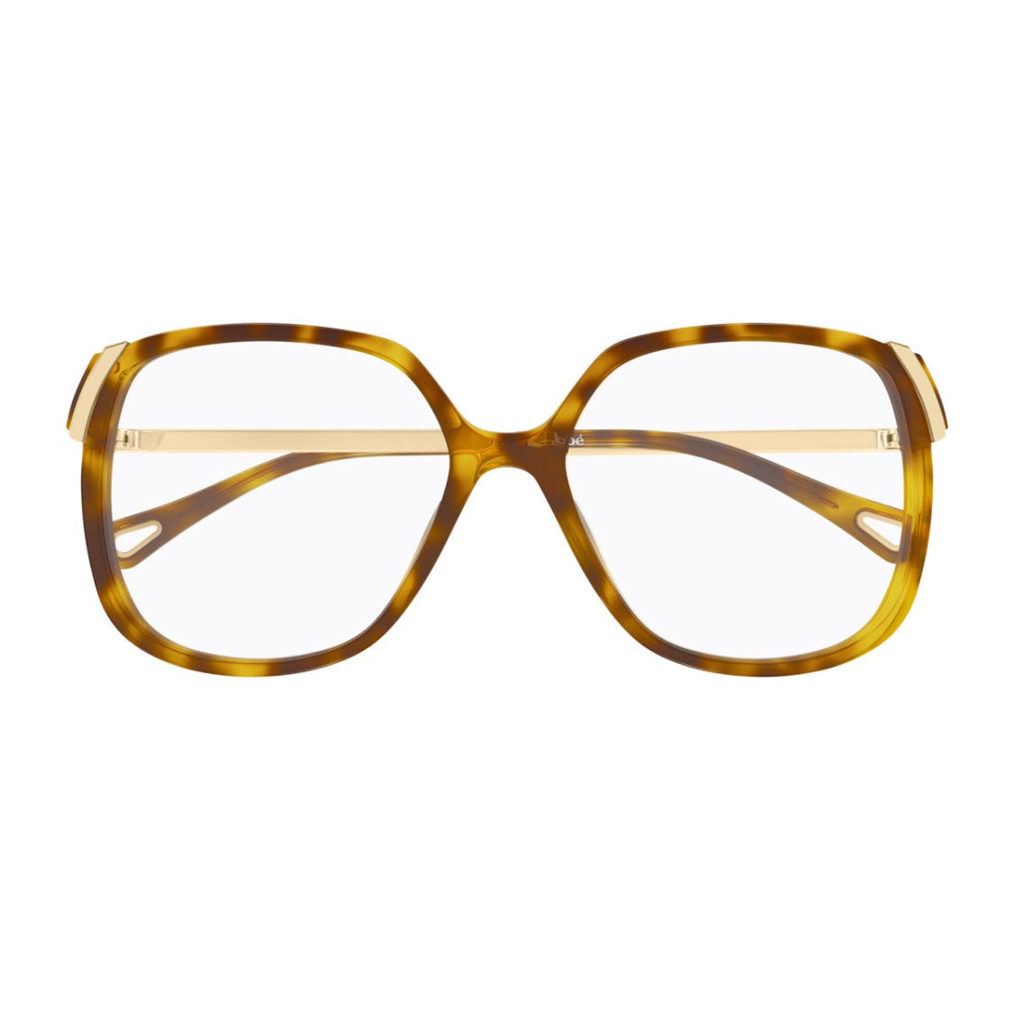 Chloé Havana Aly Retro Oversized Square Acetate Sunglasses