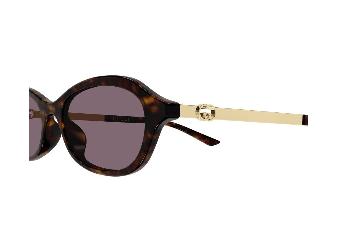Gucci Tortoiseshell Gg2212s Rounded Acetate Sunglasses