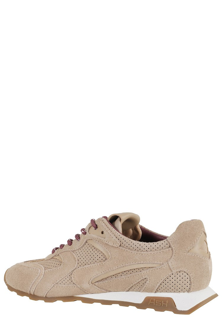 Ash Perforated Calf Suede Sneakers