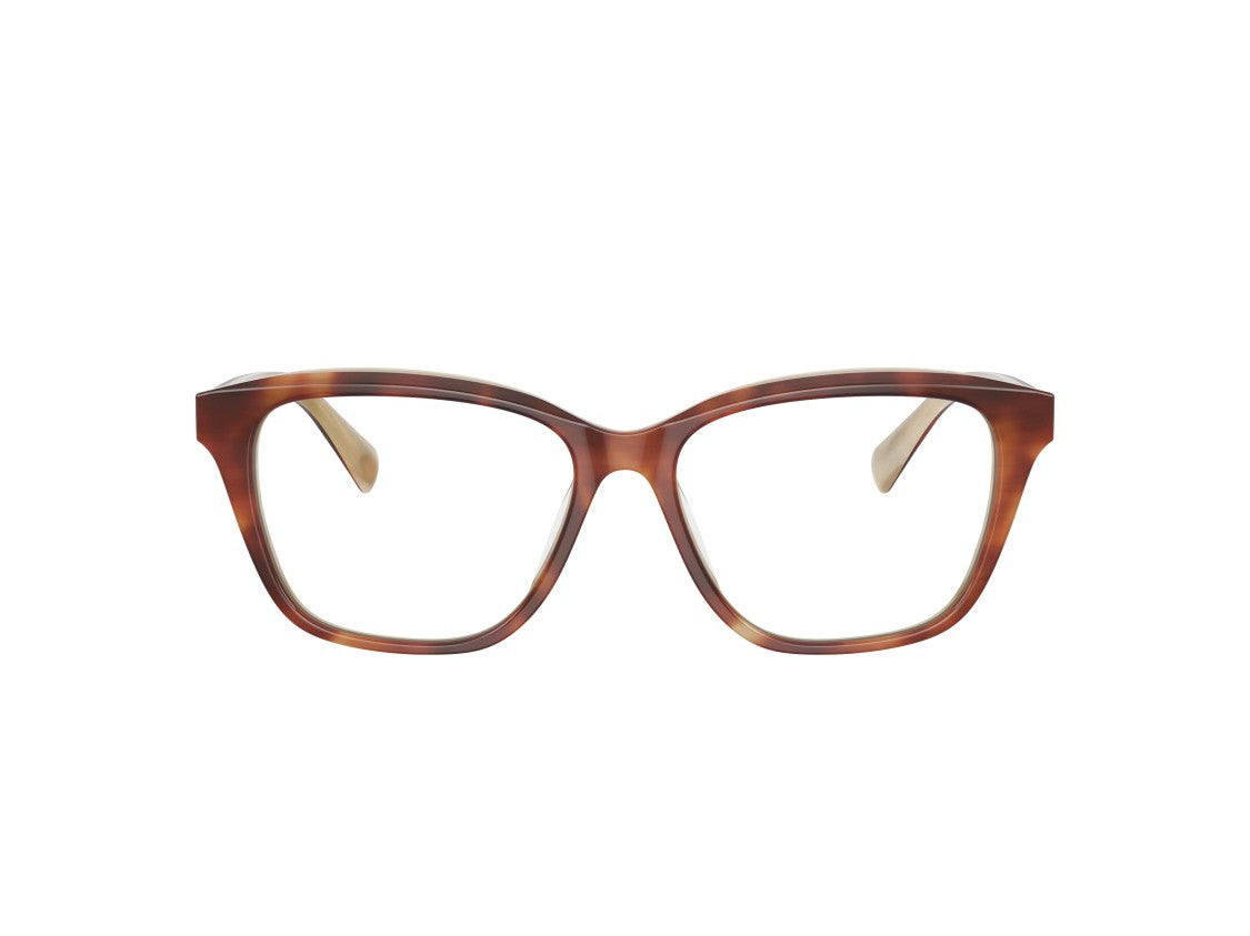 Brunello Cucinelli Tortoiseshell 0Bc3004 Gradient Square Eyeglasses