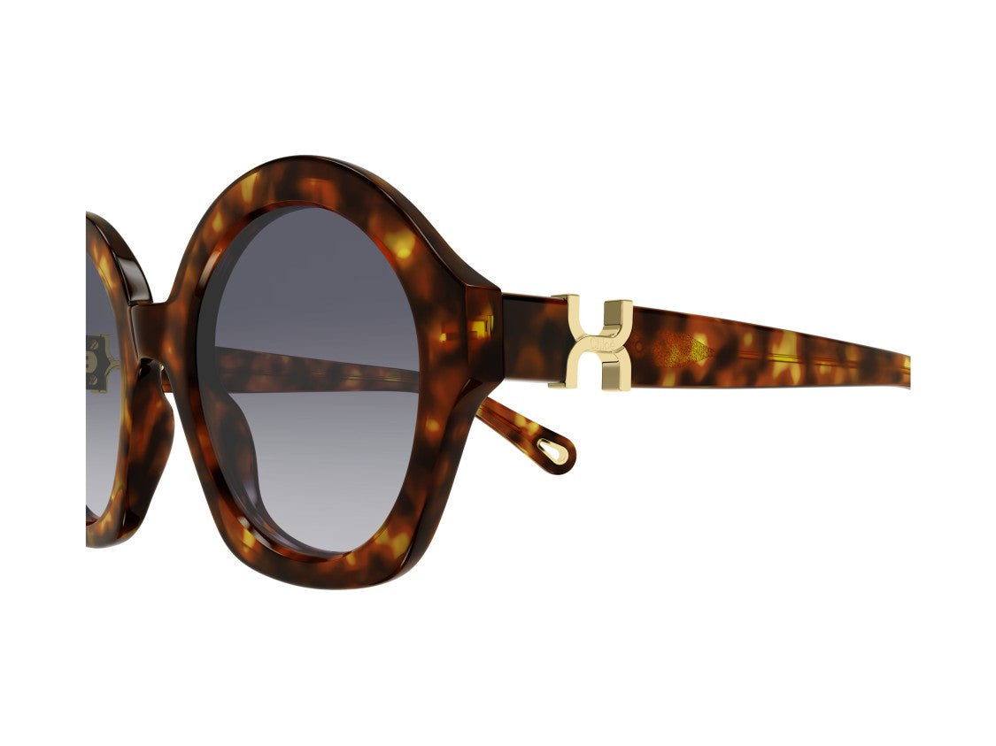 Chloé Gold Ch0302s Tortoiseshell Oversized Round Sunglasses
