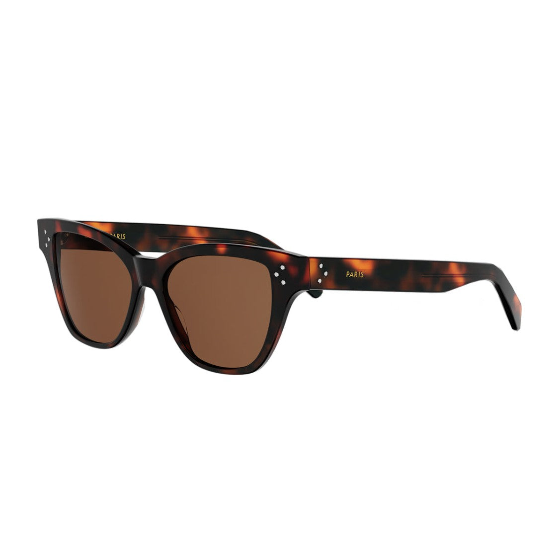 Celine Havana 3 Dots Recycled Acetate Rectangular Sunglasses