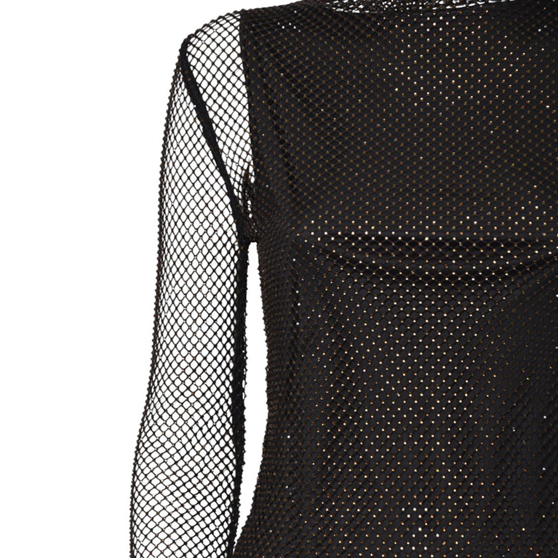 Sportmax Fitted Sheer Long-Sleeve Top With Dotted Pattern