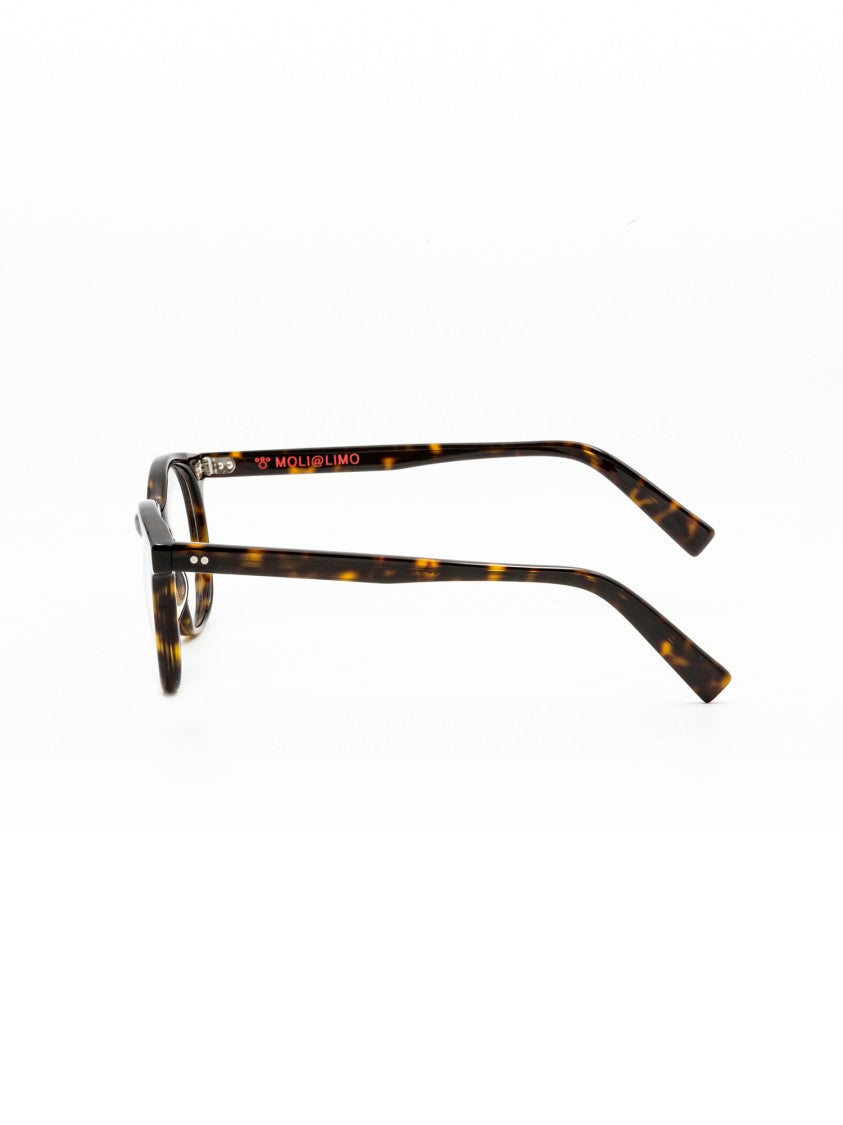 Moli@Limo Brown Md85 Tortoiseshell Refined Frames