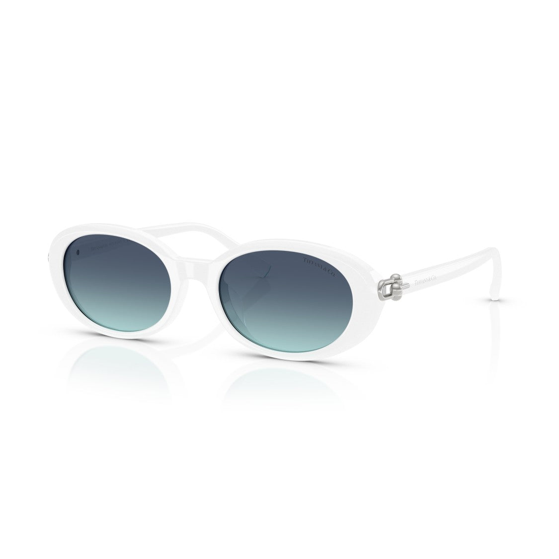 Tiffany & Co. 0Tf4242d Oval-Shaped Sunglasses